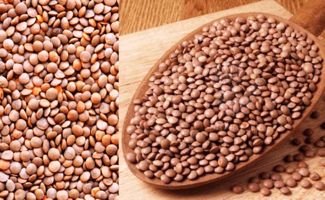 हिल साबुत मसूर दाल (1 Kg) - Image 2